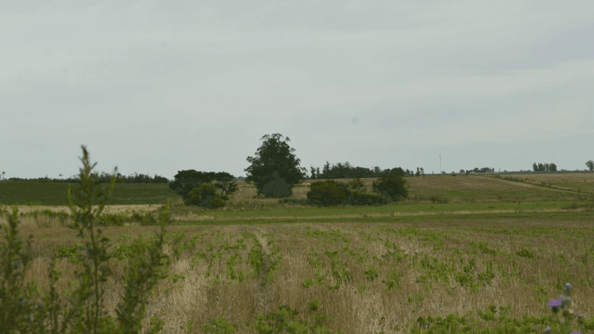 Campo en Canelones