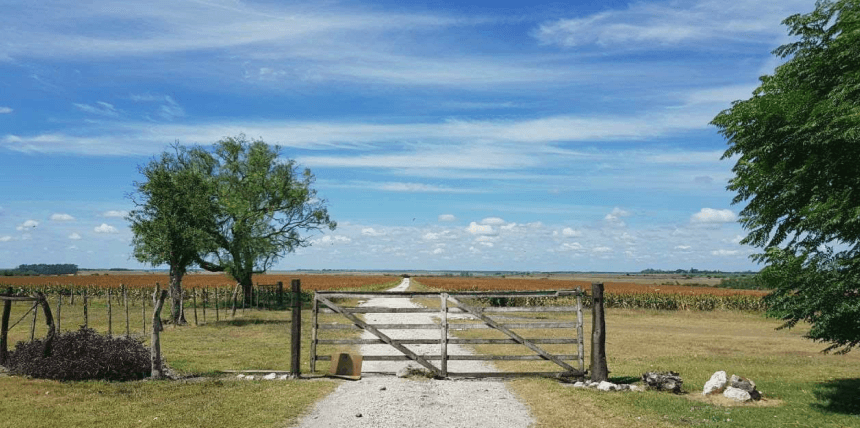 Campo en Paysandú