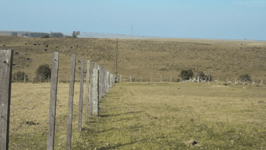 Campo en Treinta y Tres