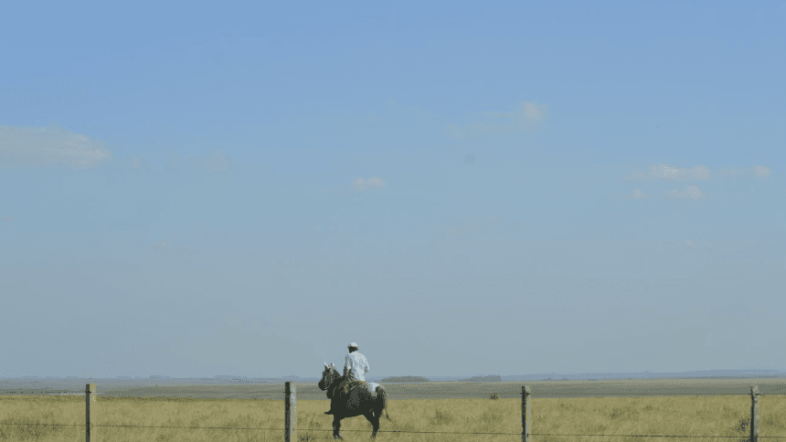 Campo en Paysandú