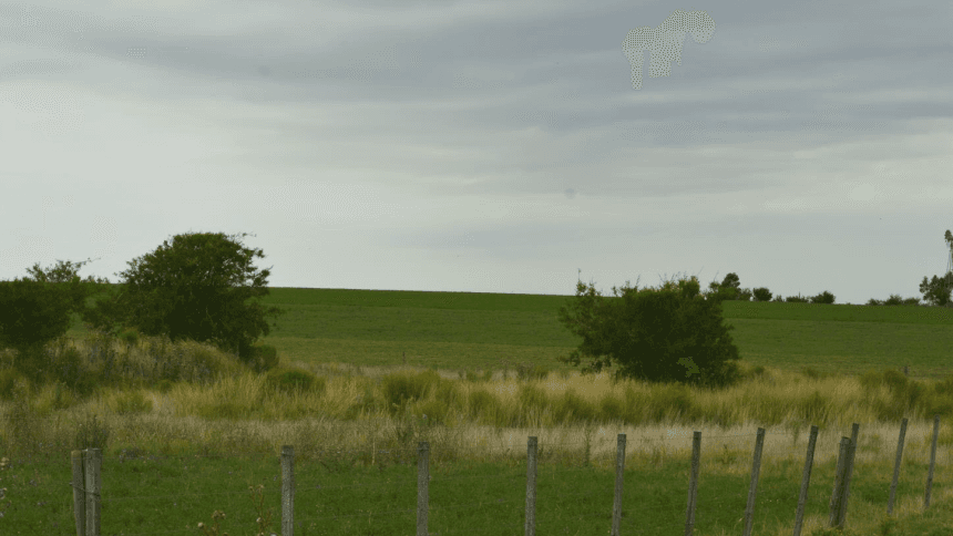 Campo en Florida